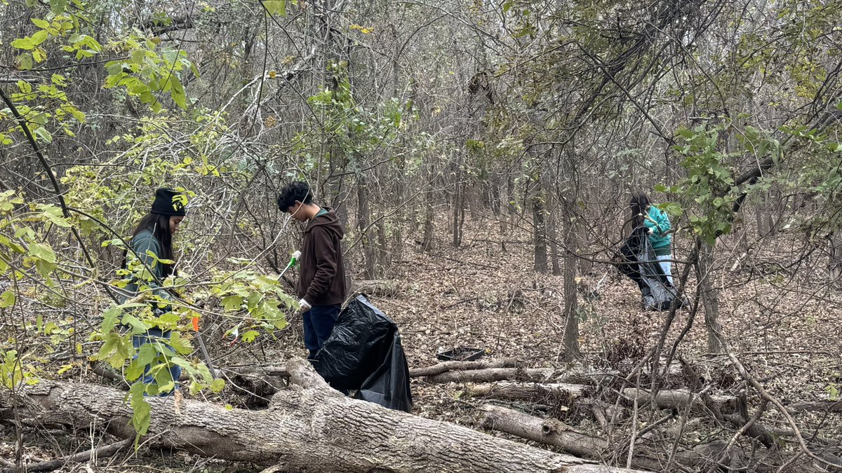 Spalding Biology tweet media