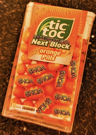NazKashmiri's tweet photo. It was always Tang Gang coded 🫵🏽😹
#TangGang 🍊🧡🌱 #LetsGrove https://t.co/E64LVRKC7V
