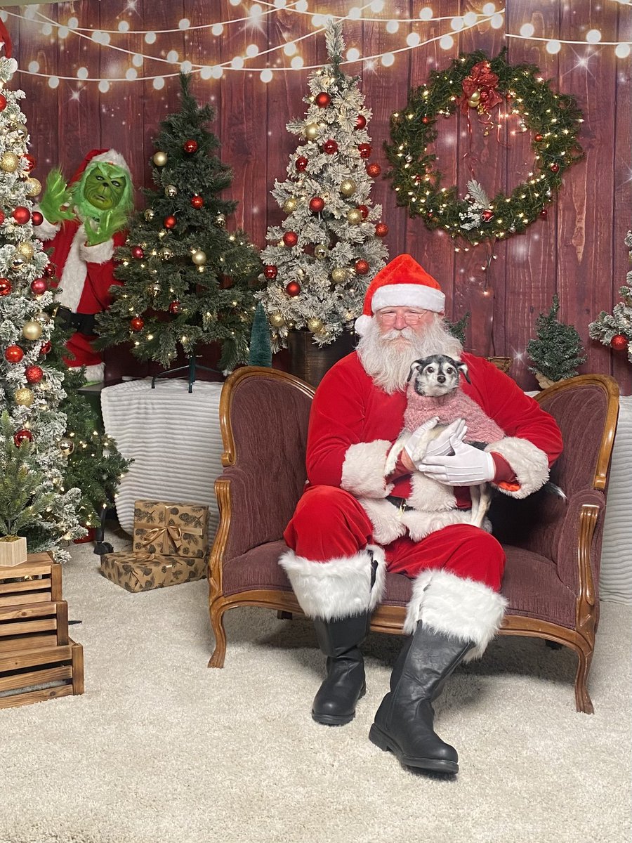 HozumiBerger's tweet image. Zen and Santa Paws (and Mr Grinch)🐾🐾🎅🎄 #VCAS #santapaws 毎年恒例のサンタパーズ爺さん(とグリンチさん)イベントで善の写真撮って頂きました♪