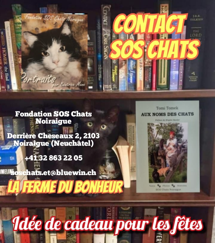 Tomi  Tomek tweet media