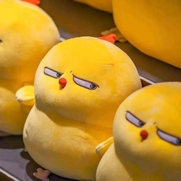 En_jupiter_'s tweet photo. yo si fuera un peluche: https://t.co/iQ2Y8sw2HE