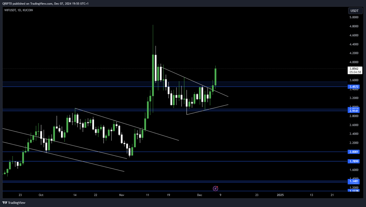 QRIPT0's tweet photo. $WIF - $PEPE - $BONK - $FLOKI
Coming back to this tweet now. all +15% https://t.co/lBL7UTBeSQ