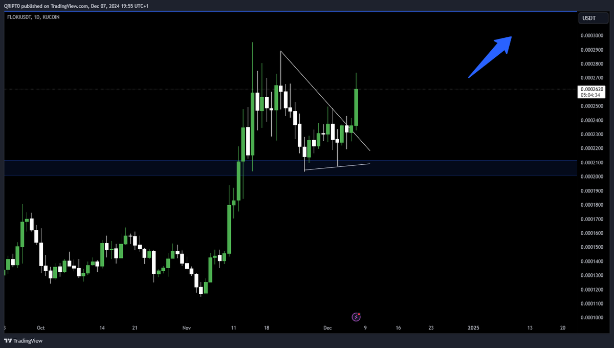 QRIPT0's tweet photo. $WIF - $PEPE - $BONK - $FLOKI
Coming back to this tweet now. all +15% https://t.co/lBL7UTBeSQ