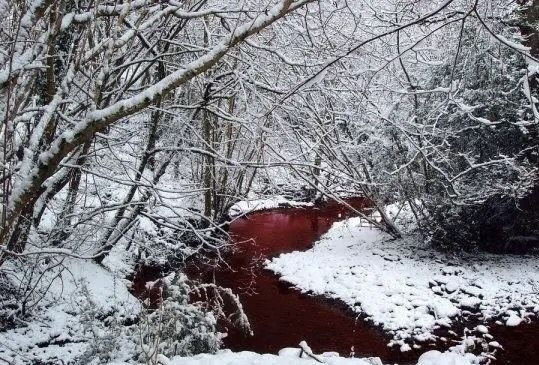 ✞ 🗝️ (@hakaelll) on Twitter photo 