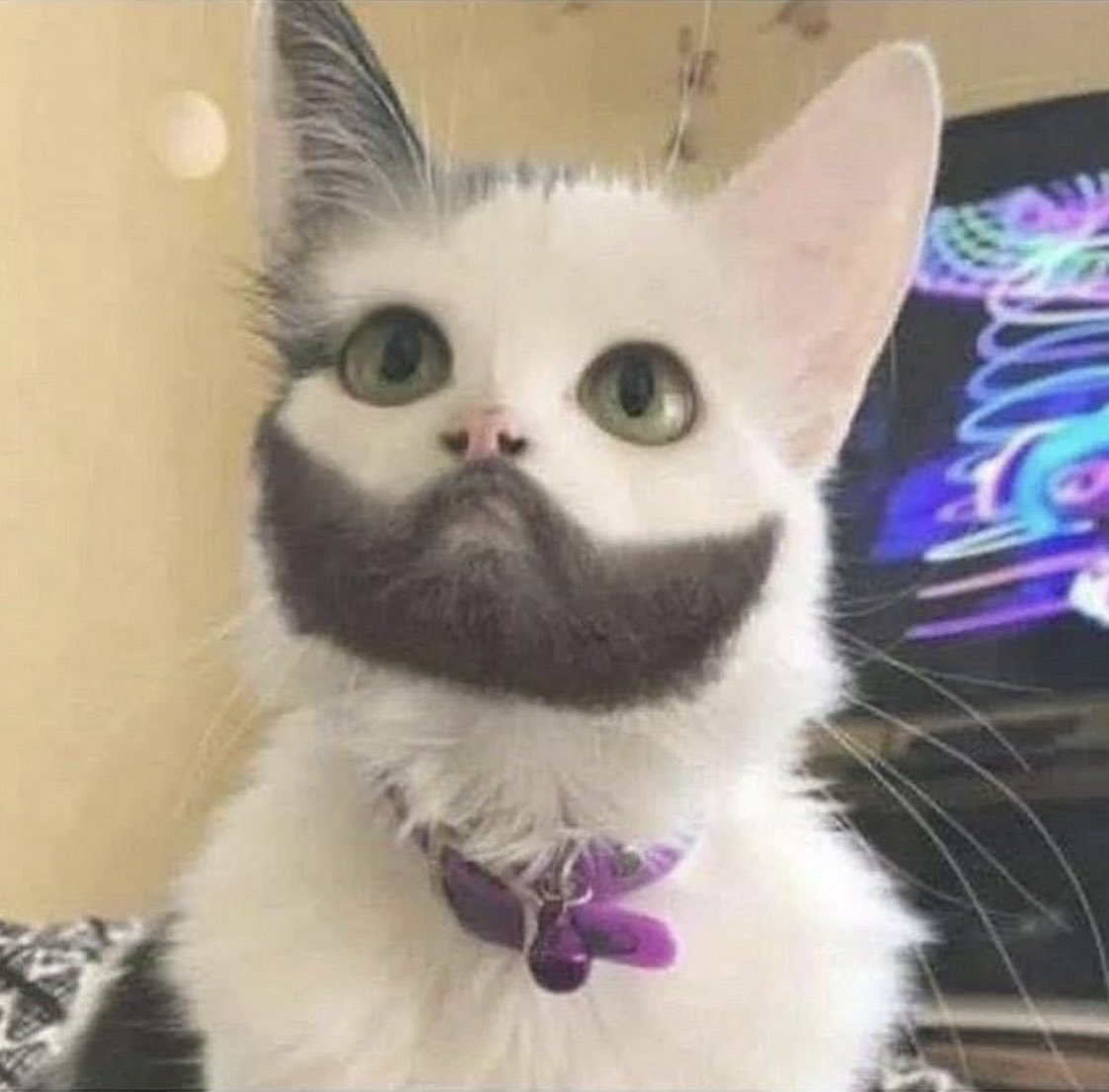 ✩ ㋡ׅ 𝐏𝐚𝐦𝐦𝐲 𝐒𝐢ẍẍ ✩ tweet media