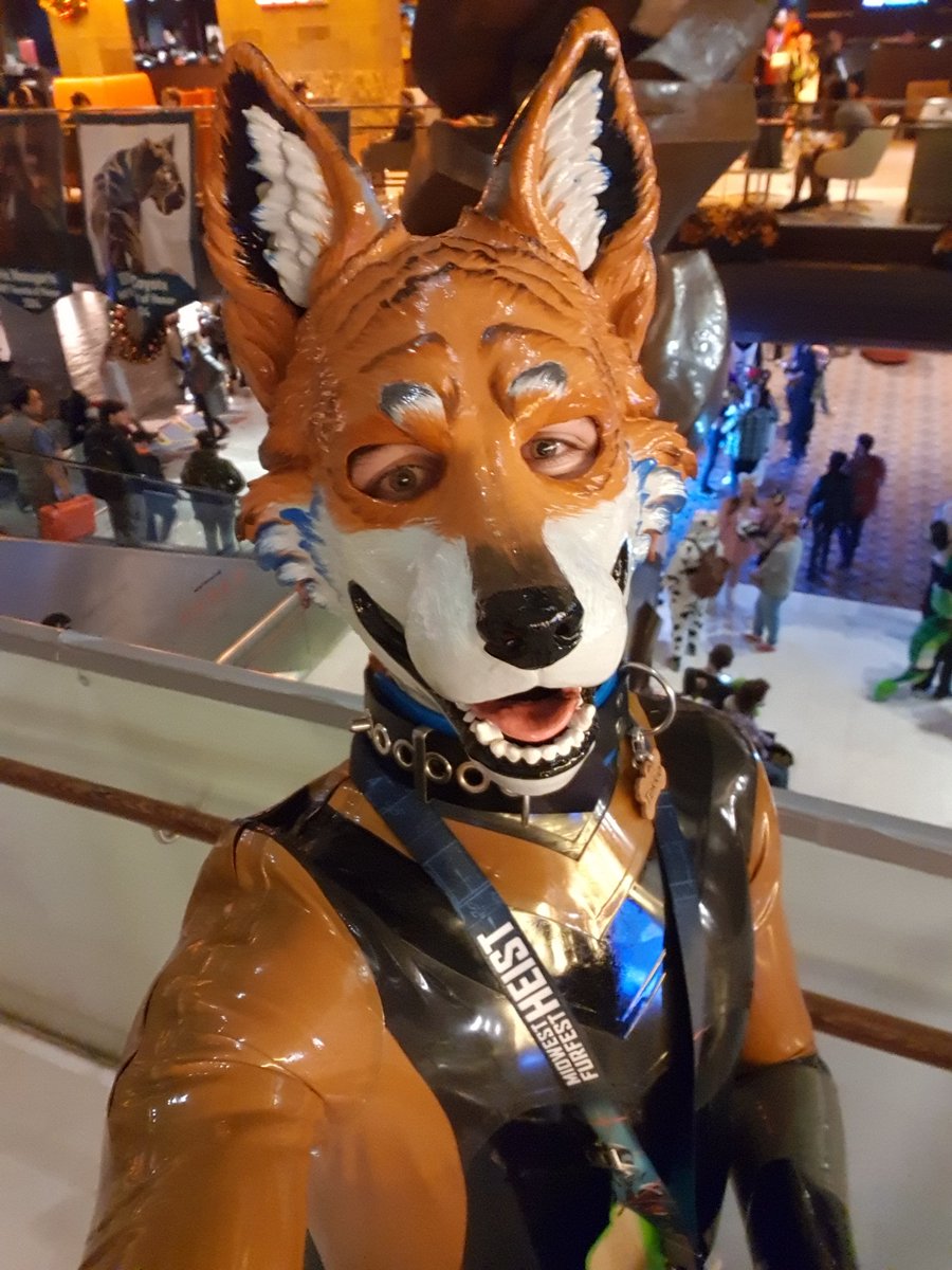Foxing around at MFF 🦊

I'm curious to see who else I'll meet squeaky tonight ✨️