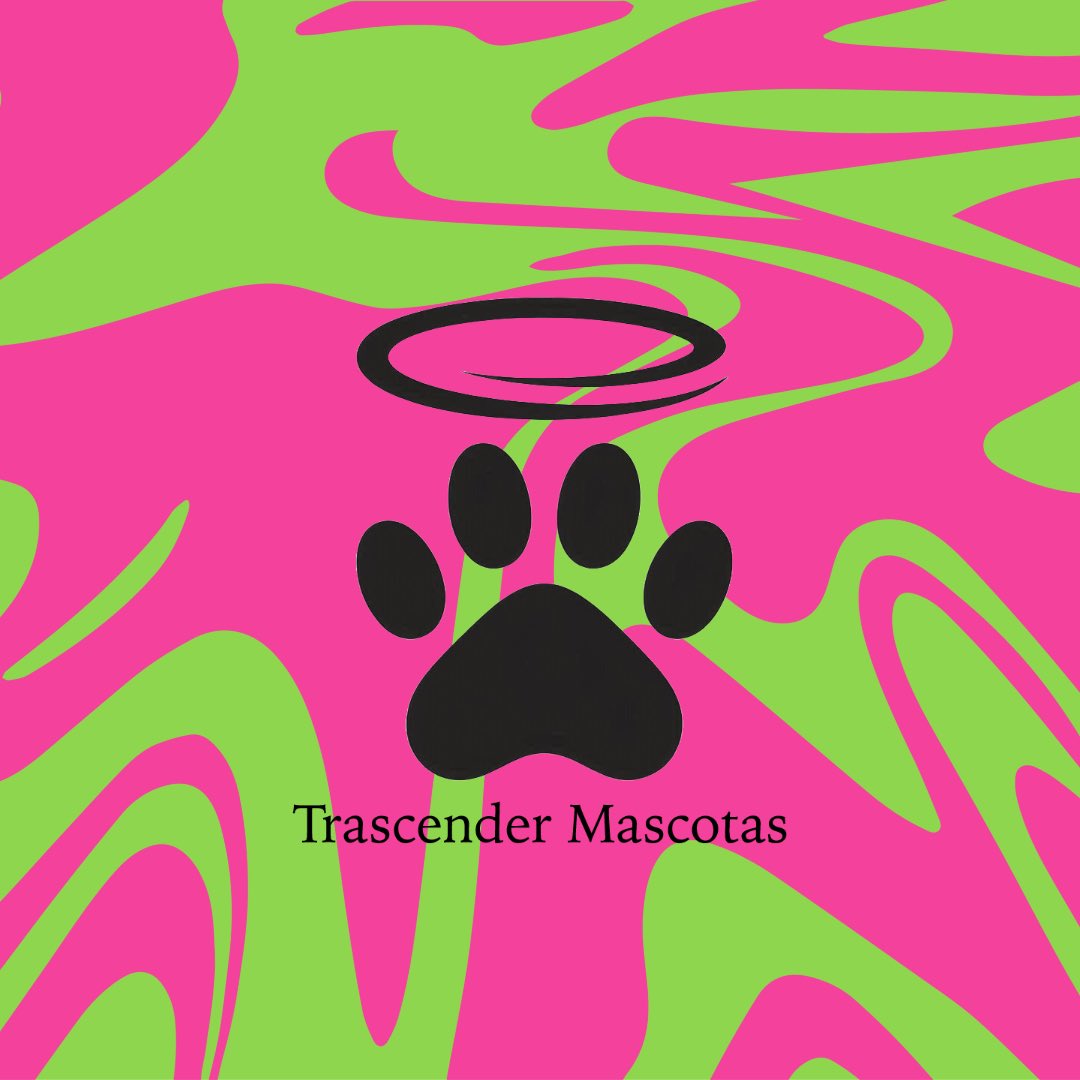 trascender2024's tweet image. Somos Trascender Mascotas, nacimos para darle una despedida respetuosa y llena de amor a tu mascota. Nuestras urnas están diseñadas para recordar a ese amigo tan especial. #Urnas #Naturaleza #Adios #Mascotas #Envíos