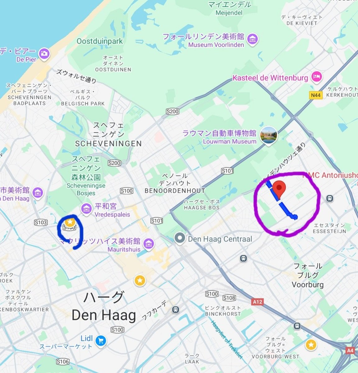 今朝のデン・ハーグでのアパート爆発崩壊で(原因究明中。現在5名が犠牲に)周辺一帯(右側の紫の○辺り)は9日まで住人以外は立ち入り禁止になったようだけど、ハーグ郊外になるのかな...(因みに日本大使館は左の青○で、かなり離れてる)