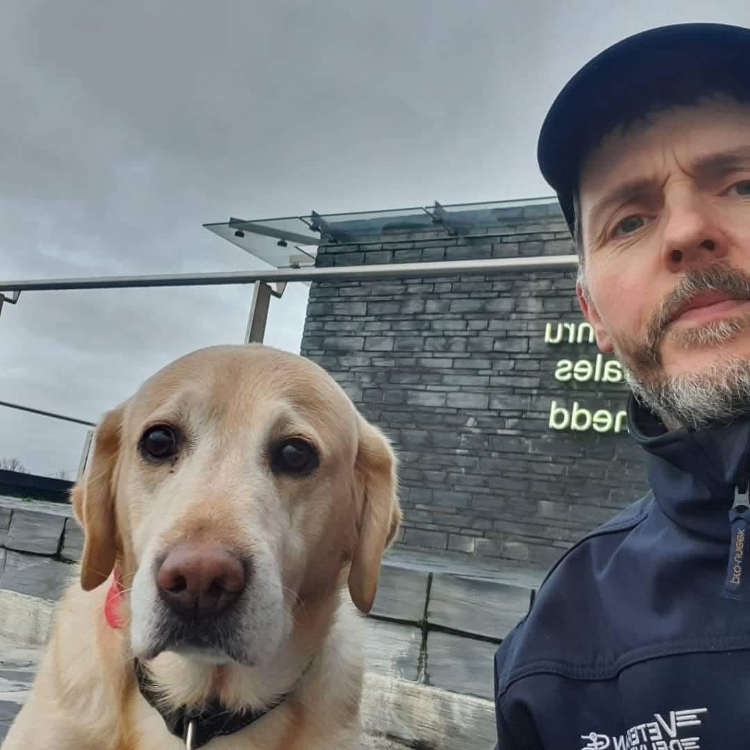 A long year has passed and my best friend&amp;4 legged Admiral is still awol. 
Not a day has gone by without me looking and praying I'll find you. 
Iv not given up or ever will give up on you Todd . Ur very much loved and missed. #Blantyretrainstation south #LANARKSHIRE #Scotland