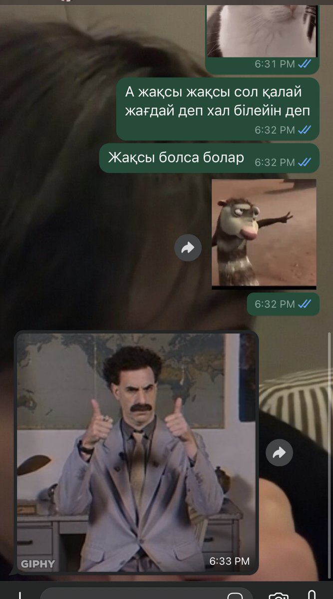 Жаным папам операциядан шығып бәрі жақсы дым емес жәй операция ғой уайымдама деп аудио жіберіп жатыр😔 өзі біз тырнағымызды ауыртып алсақ та уайымдап пісіп күйеді. Үйдегілерге маған неге айттыңдар өзі өзге елде әзер жүргенде деп ұрысыпты🥲