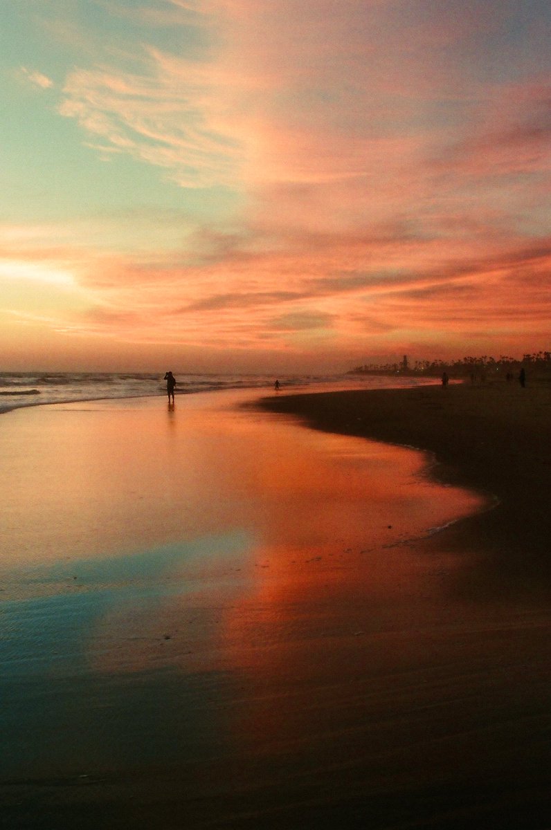 marvinj_lee's tweet photo. SoCal experience - everlasting summer on 35mmfilm https://t.co/dy88My2C6i