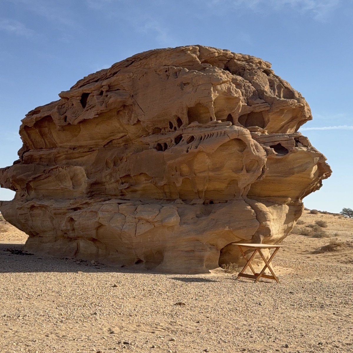 hmeguid's tweet image. Slow is the new precious…#mentalnote