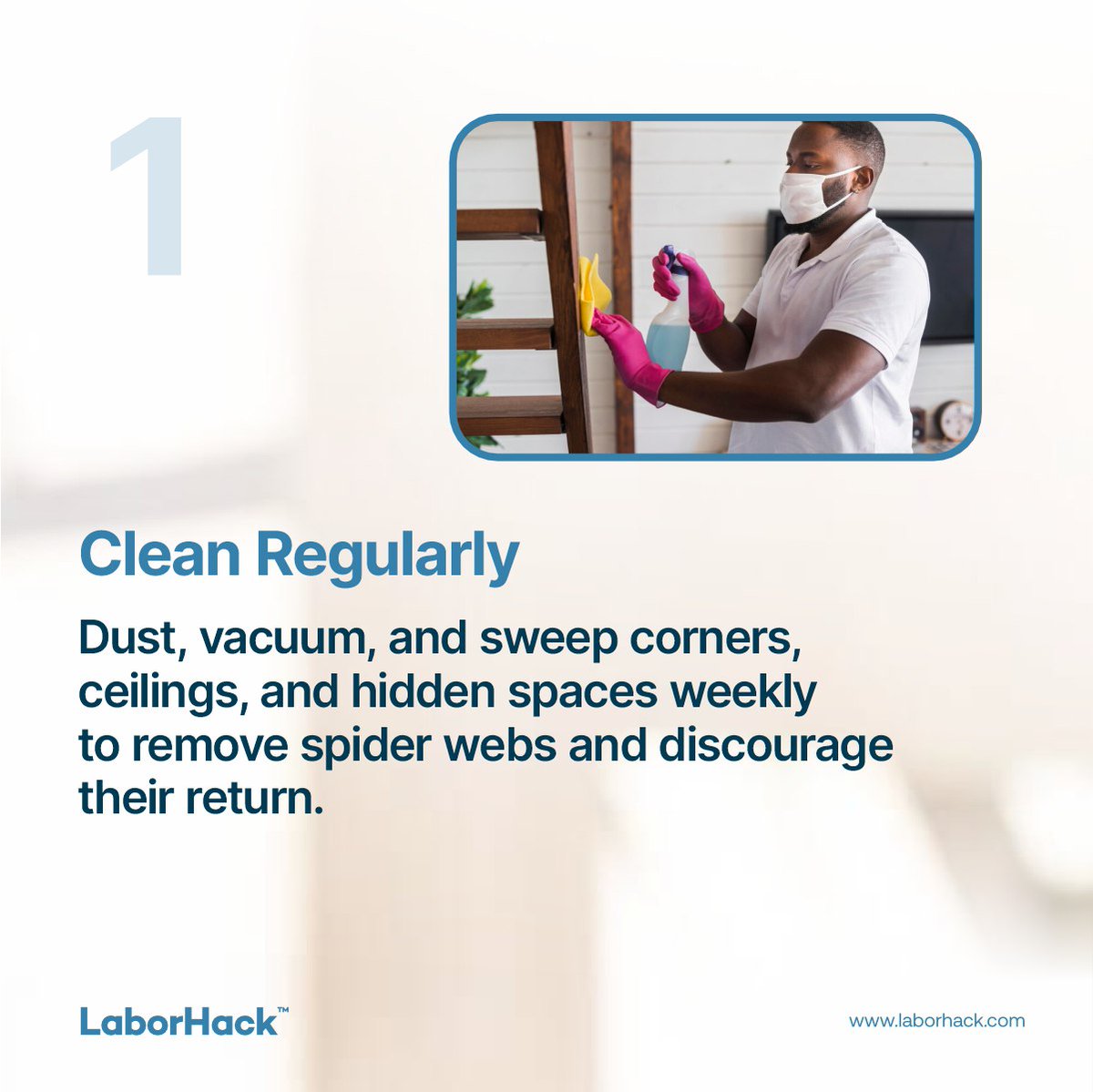 Laborhack_ng's tweet image. A clean, sealed, and organised home is your best defence against spider webs! 

#hireapro #LaborHack #webfreehome #skilledworkers #homecleaning #homemaintenance #hireacleaner
