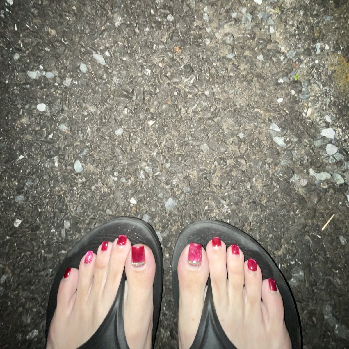 メイプルページ メイプル (@maple35615) / Posts / X