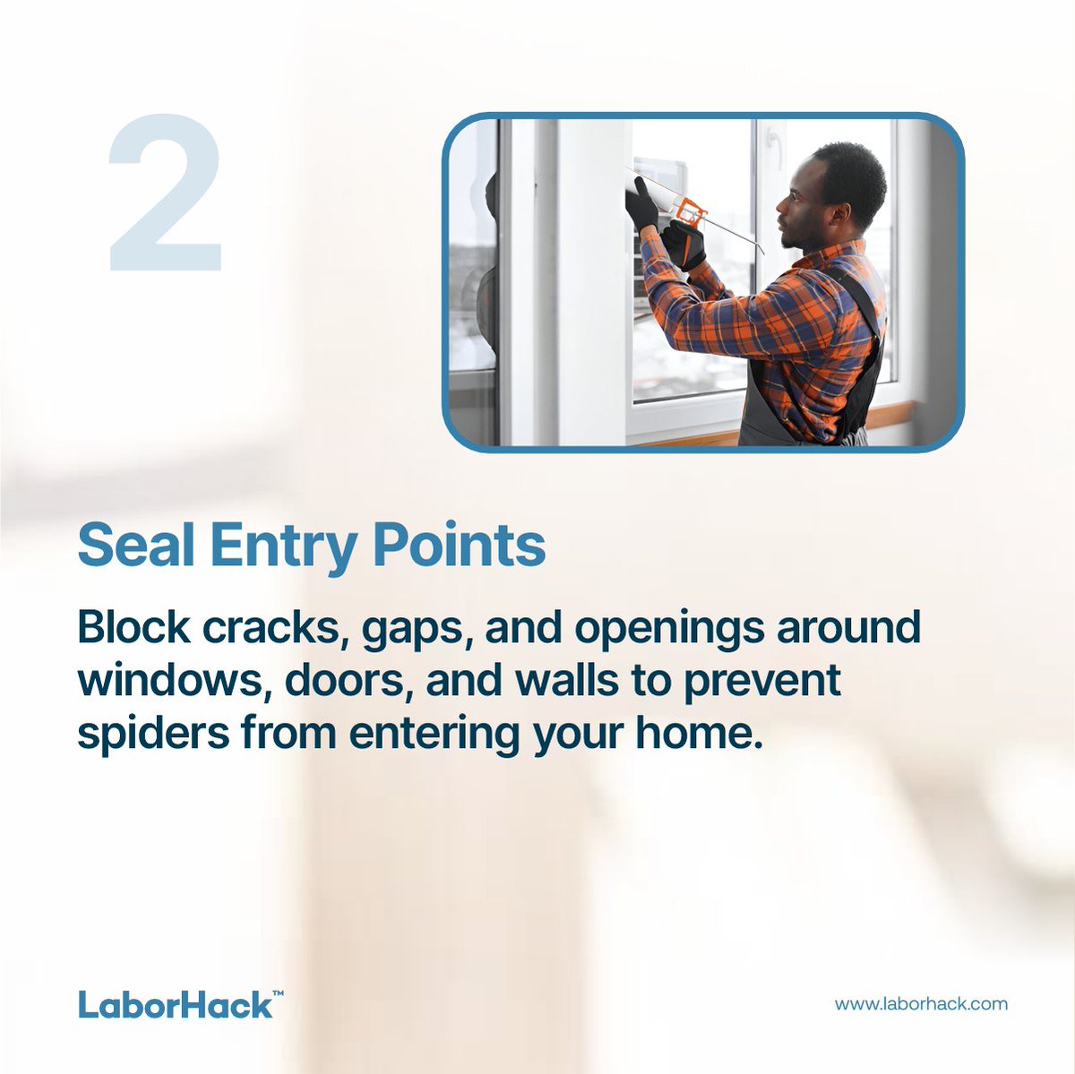 Laborhack_ng's tweet image. A clean, sealed, and organised home is your best defence against spider webs! 

#hireapro #LaborHack #webfreehome #skilledworkers #homecleaning #homemaintenance #hireacleaner