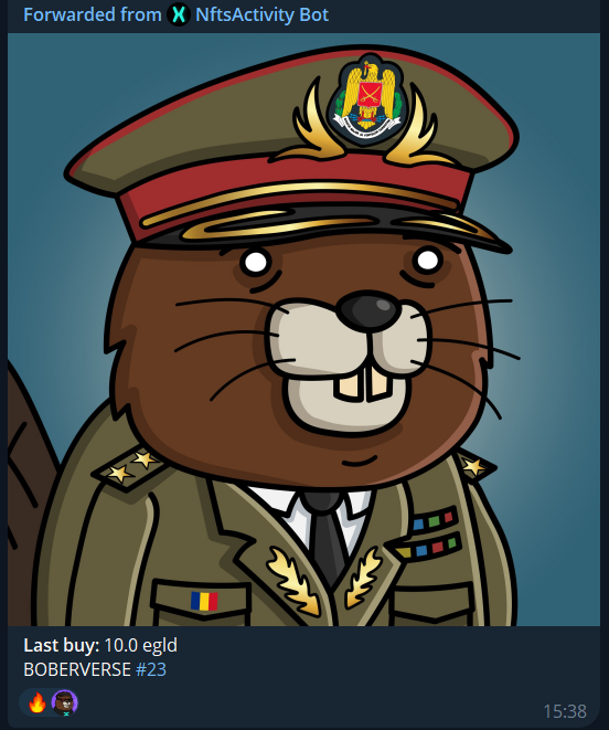 BoberCTO's tweet image. ideally u shouldn't sell your hot exclusive $BOBER pfps 

but if you do, at least make it an ATH like below