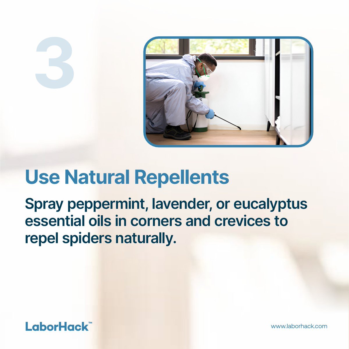 Laborhack_ng's tweet image. A clean, sealed, and organised home is your best defence against spider webs! 

#hireapro #LaborHack #webfreehome #skilledworkers #homecleaning #homemaintenance #hireacleaner