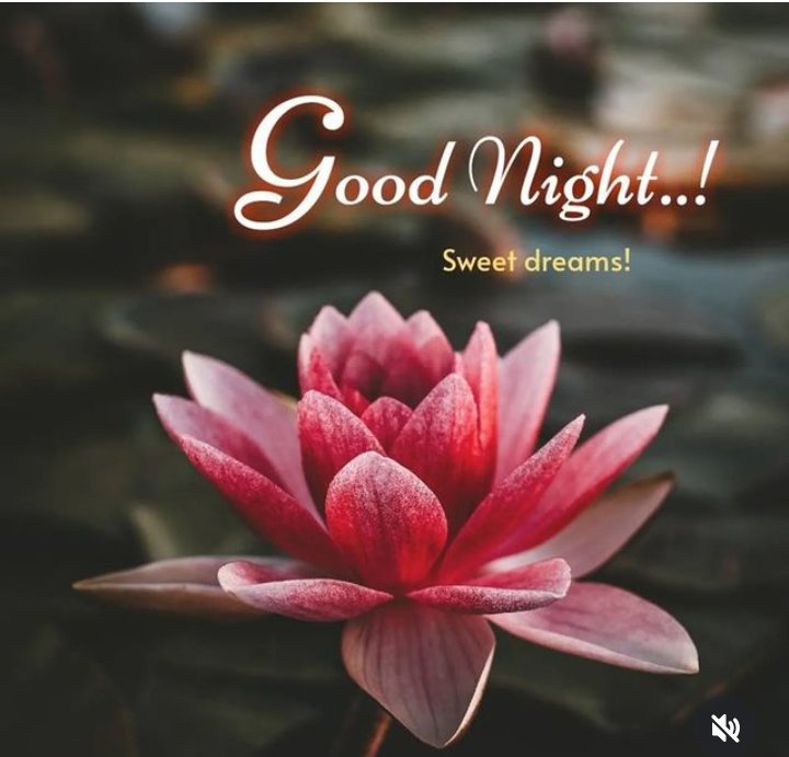 Good night dear friend...
Have u nice and beautiful night..❣️🌺✨
