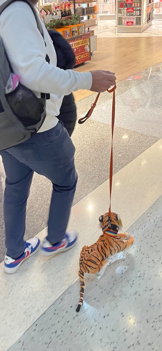 Dog walking Dabo
