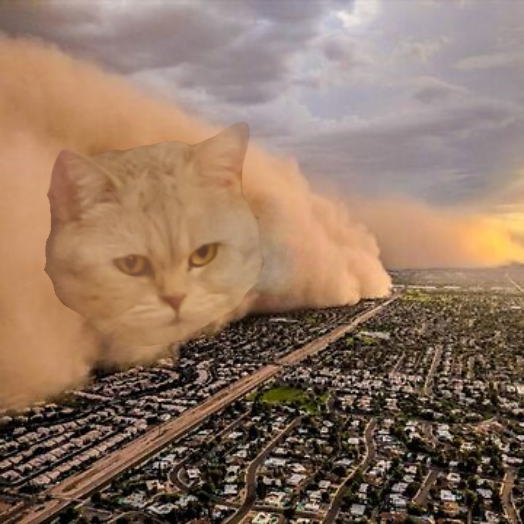 adryatik's tweet photo. 🐾 Big News! 🐾

After the succesful launch of $Tuna, my friend's fat cat 😺
I'm giving away 1M $Tuna! (Current Value: 500 $ADA)

How to enter:
🐟 Follow @FatCuteTuna &amp; @adryatik
🐟 Comment $Tuna 🐟
🐟 Tag 2 fat cat lovers

Let’s make waves! 🌊 https://t.co/cADj55bB5Z