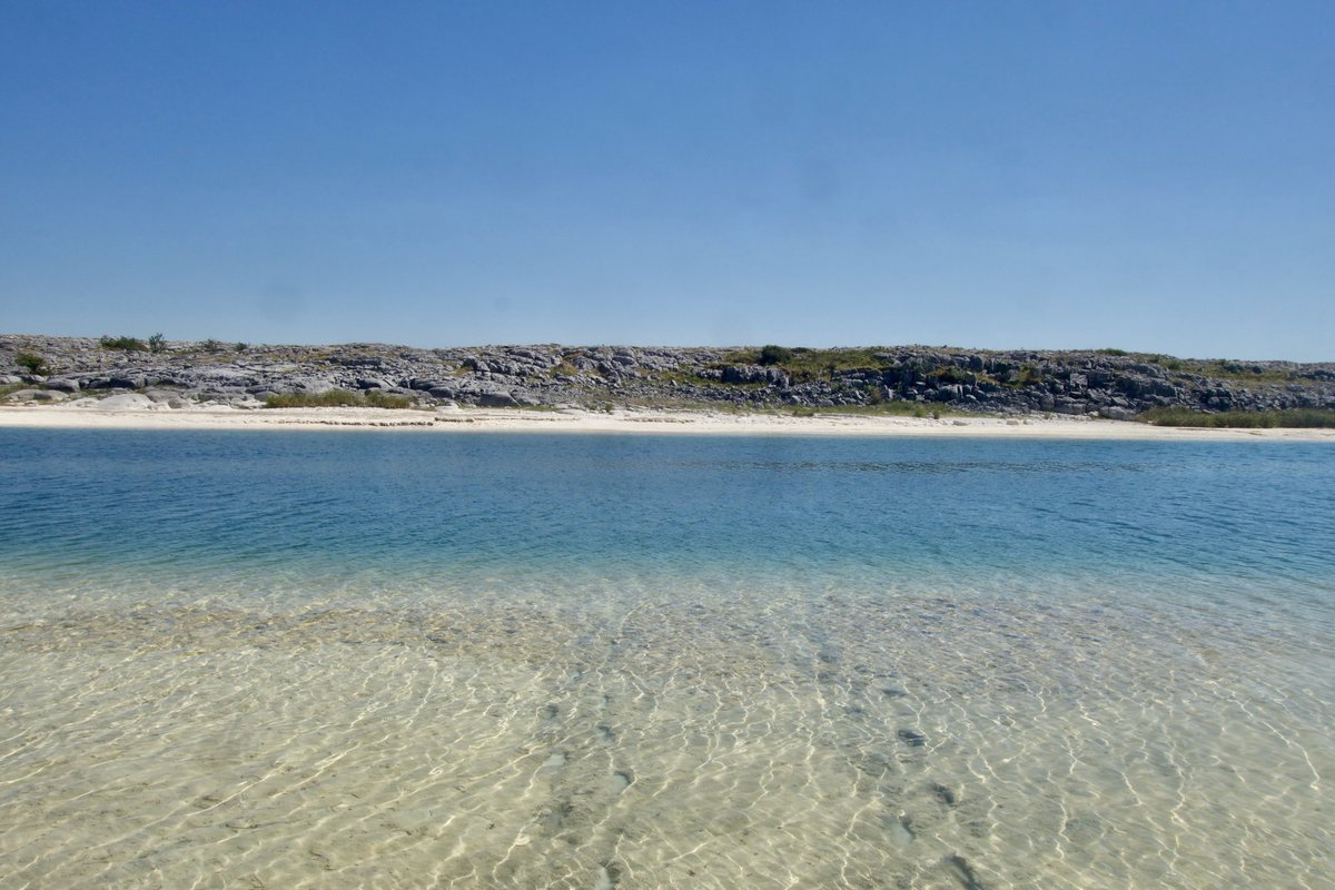 catherine dalton tweet media