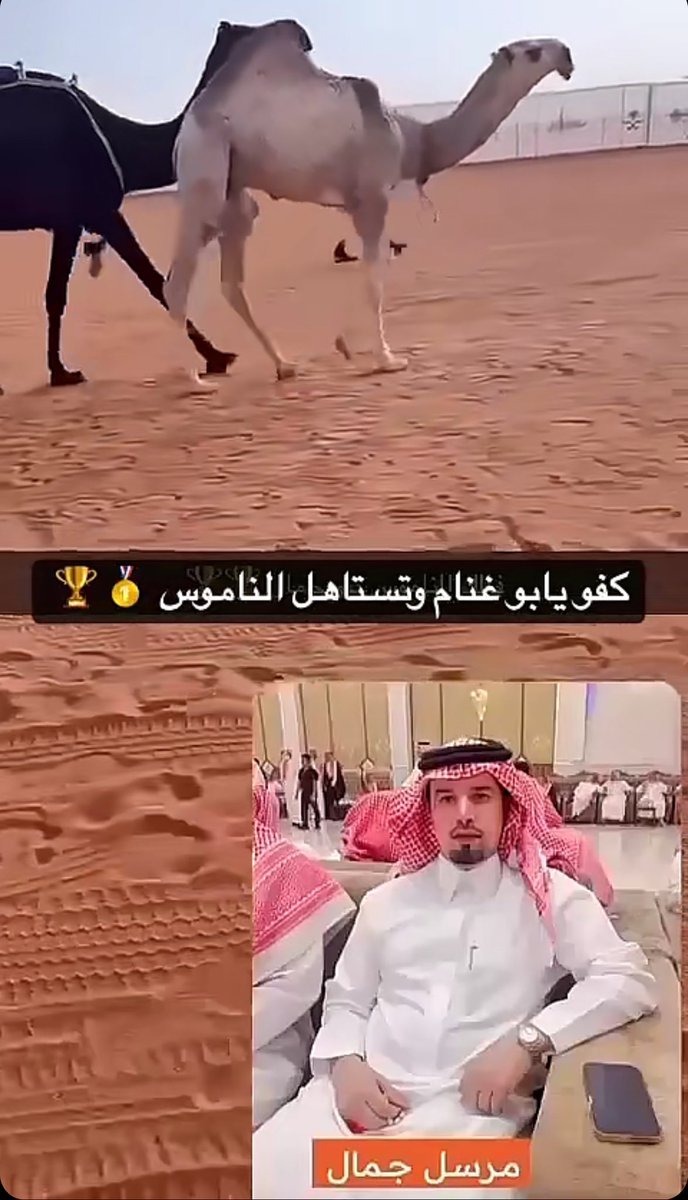 lilililmlililil's tweet photo. الف مبروك لمرسل بن غانم .. ولـ #الدواسر ..
تحقيق الاول 🥇فردي مفاريد قعدان  #حمر .. https://t.co/ZNcwGQOvva