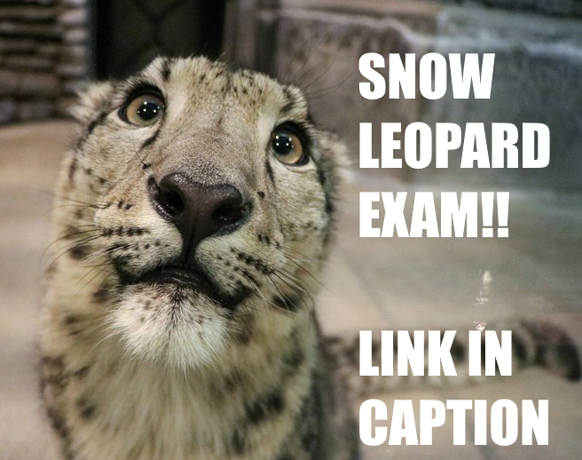 Dear friends and family, snow leopard class midterms are upon us. 

Please fill out this form / take this exam: forms.gle/GxPU4tqFqpzLUj…

Good luck!