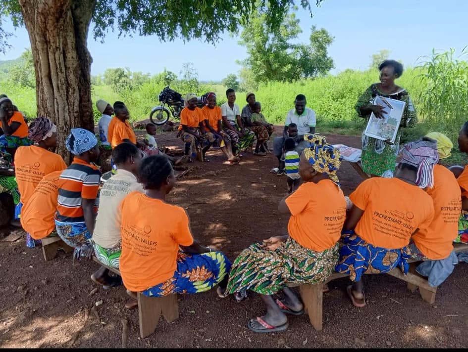 CEDIF ONG tweet media