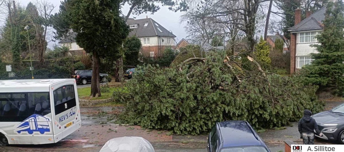 B31Voices's tweet photo. ⚡️🌧 #SWBrumStormWatch 🌧⚡️
#StormDarragh
Fallen tree in Middleton Hall Rd / Bunbury Rd (Woodlands Park / Northfield Rd junction) #Bournville #Cotteridge #Northfield Only passable by driving on pavement. Traffic building. AVOID
#SWBrumTRAVEL #Birmingham
#BirminghamUK
#B31Voices Voices