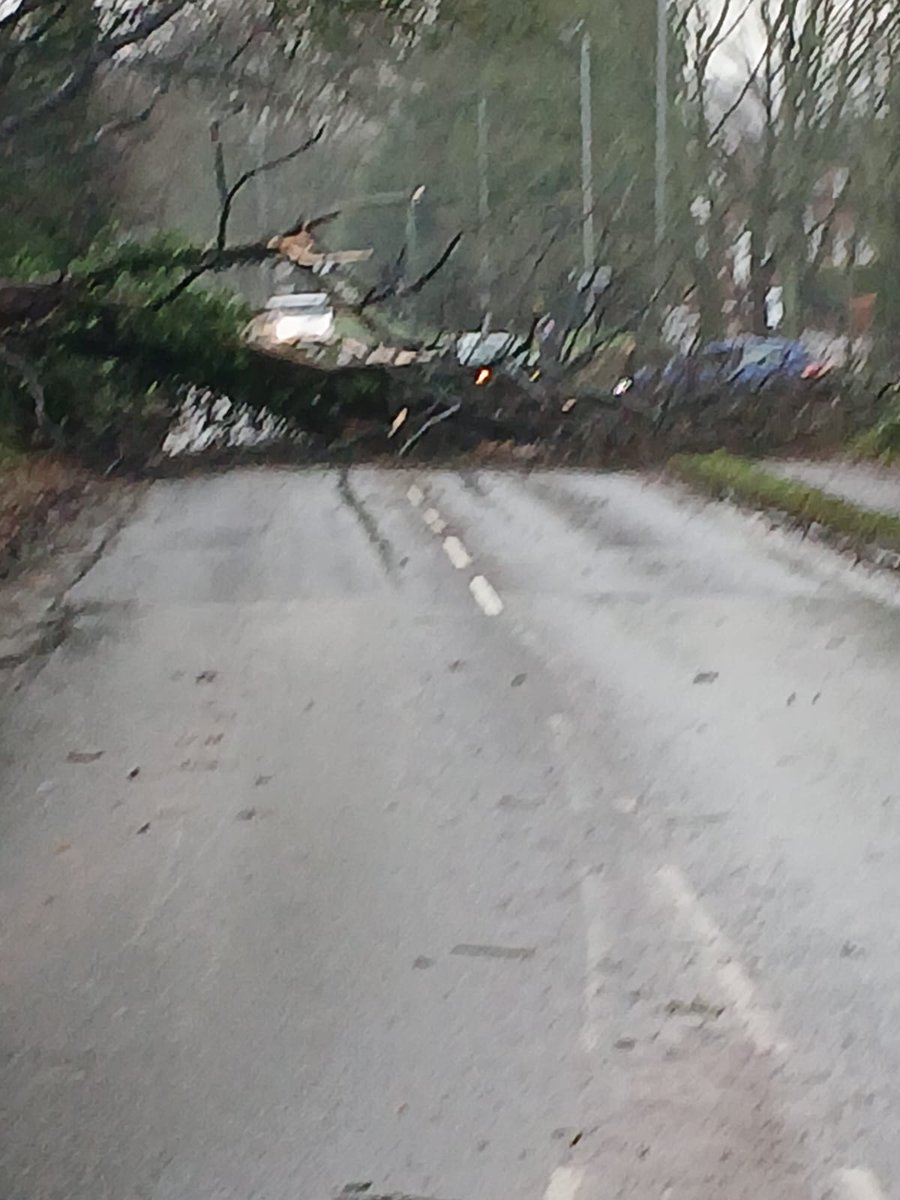 Trish Nolan tweet media