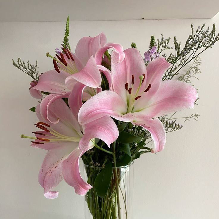 prtygal777 tweet picture