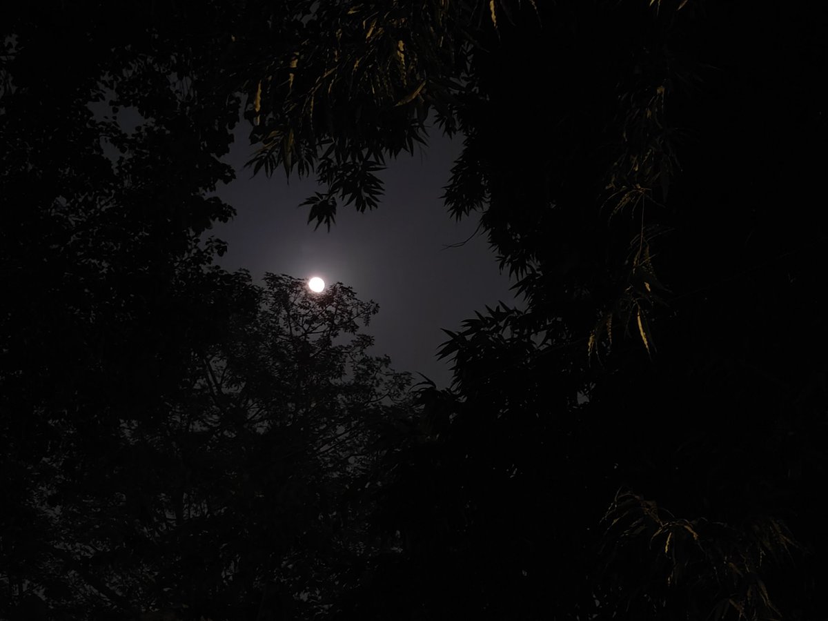 desi_rr's tweet image. बता तो मैं उसको देता बात तुम्हारे दिल की, लेकिन उसने एक नज़र भी मुझे ना देखा..!!

#moonlight #chaandkebaat #raat