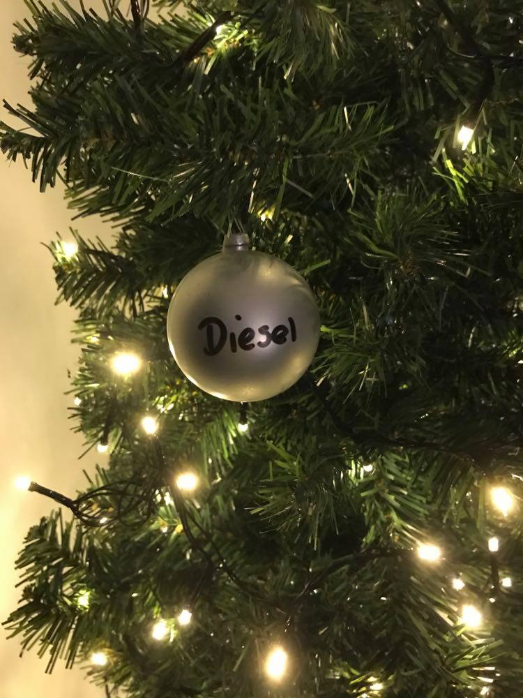 gsrescueelite's tweet photo. 🎄GSRE #Christmas Fundraiser🎄
It's #SeniorSunday and day 8 of our advent and today we have 9yr old Little Miss Tilly Tots who has been with us for 1884 days, her bill would be £18,483.
Please donate a bauble for the GSRE Tree this #SundayMorning 
https://t.co/qApPx2Gxi5 https://t.co/XnkEtRXG4i