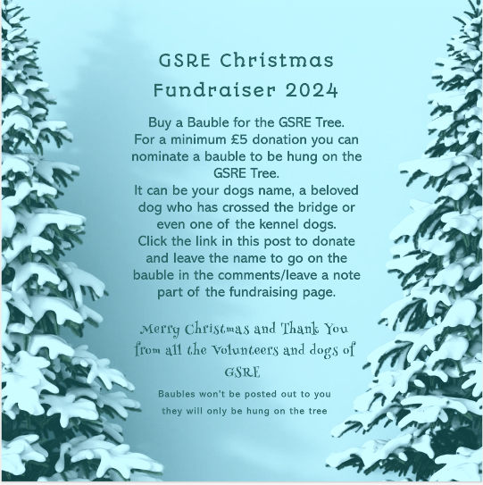 gsrescueelite's tweet photo. 🎄GSRE #Christmas Fundraiser🎄
It's #SeniorSunday and day 8 of our advent and today we have 9yr old Little Miss Tilly Tots who has been with us for 1884 days, her bill would be £18,483.
Please donate a bauble for the GSRE Tree this #SundayMorning 
https://t.co/qApPx2Gxi5 https://t.co/XnkEtRXG4i