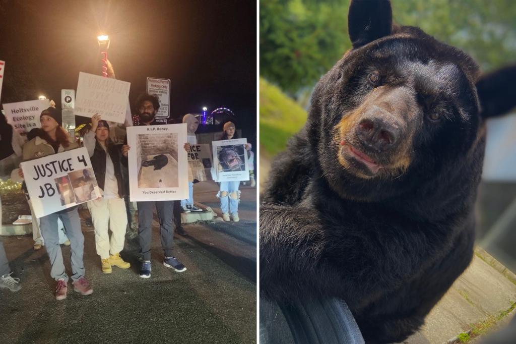 New York Post tweet media