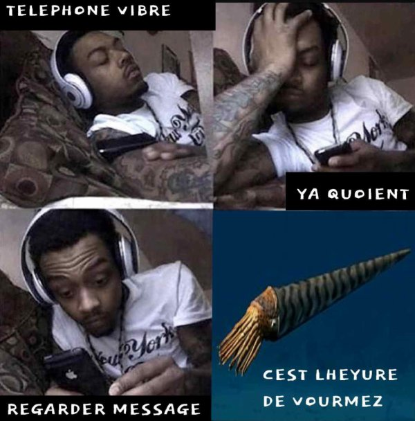 levourme's tweet photo. Bienvneue sur le blog du vourme https://t.co/VLfqJg28pE