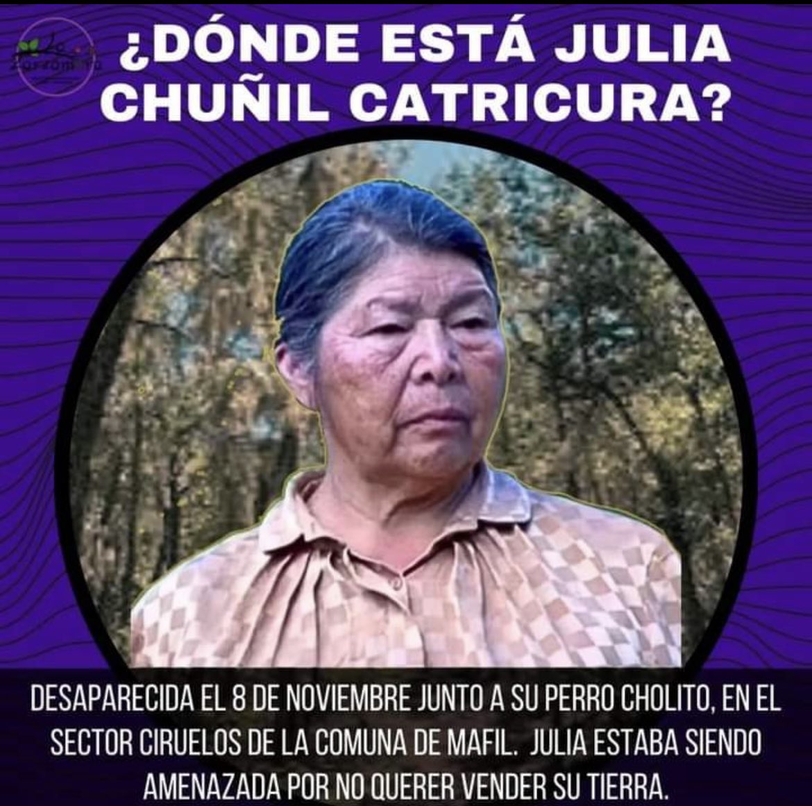 perlyely's tweet photo. Me dirijo a usted S.E presidente @GabrielBoric con respeto para que nos explique a todas y todos los que votamos por usted, porque en su gobierno aún desaparecen personas y son invisibilizadas por todos, saludos cordiales ñ. https://t.co/OJslBB98AT