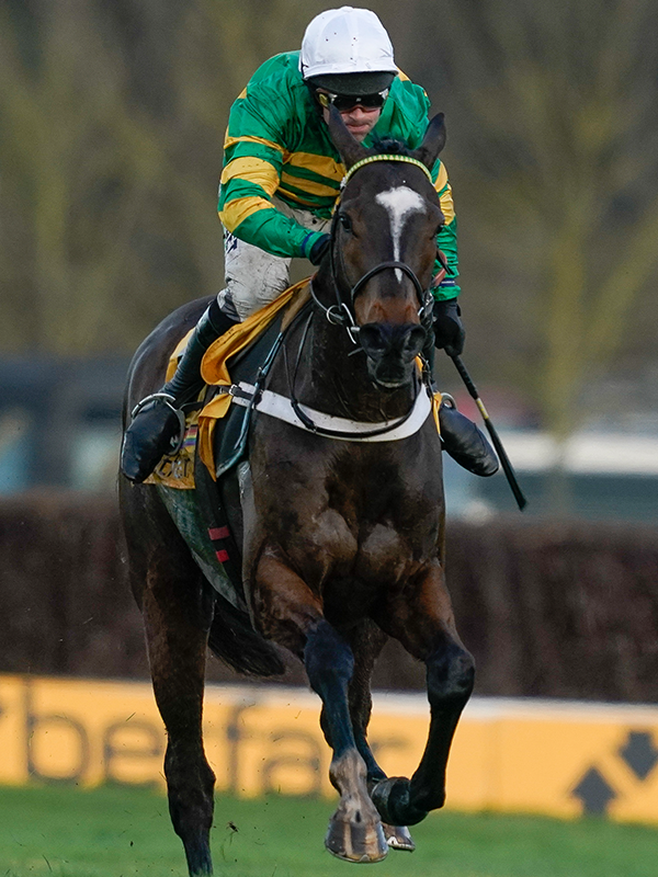 RacingPost's tweet photo. JONBON WINS THE TINGLE CREEK 🎉 https://t.co/teHGP7QA6d