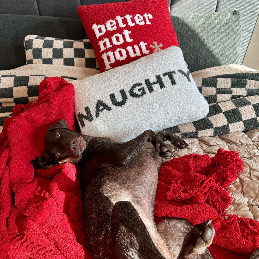 Better not pout… unless the treats are late. 🐾

📸 <a href="/peachthegsp/">Peach the GSP</a> 🥰
