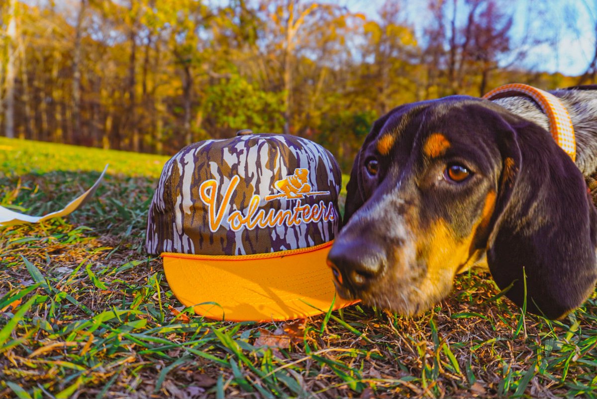 Bad Day Hat Co Vols tweet media