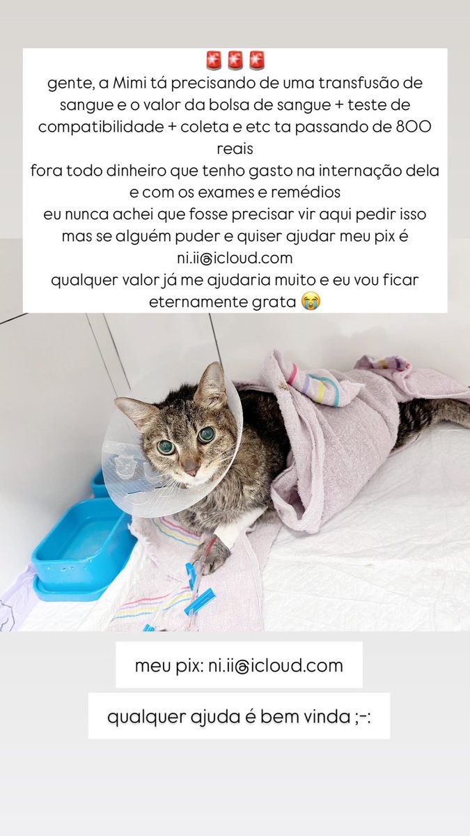 quem puder compartilhar pra me ajudar por favor 😭

meu pix é ni.ii@icloud.com