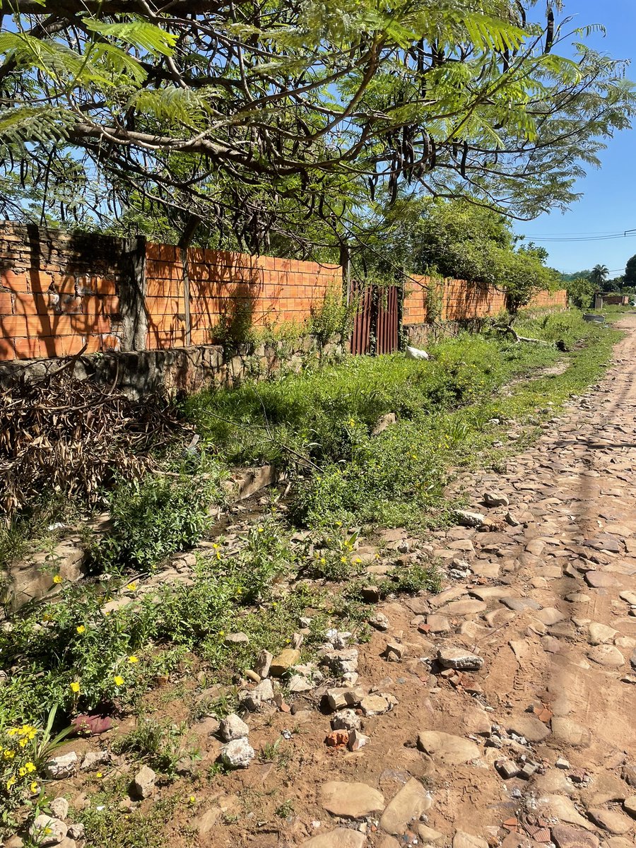 AnarchyInTheU_K's tweet photo. buen día @luquemuni parece que se olvidaron otra vez de nosotros🥰 calles intrasitables y ni una sola vereda o intento de para poder caminar por aca. solo arreglan el centro de la ciudad? @observadorluque @azulyorodigital https://t.co/u0n88Qdx6q
