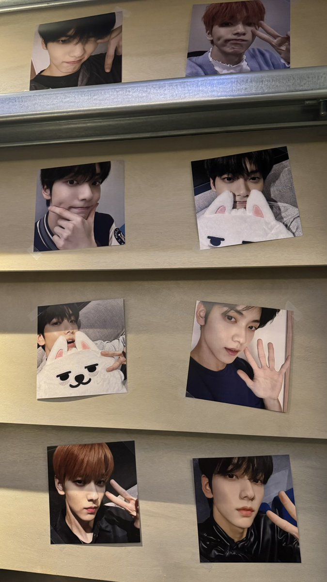 같이 숩속의 네잎클로버를 찾으러 갈래? 🍀