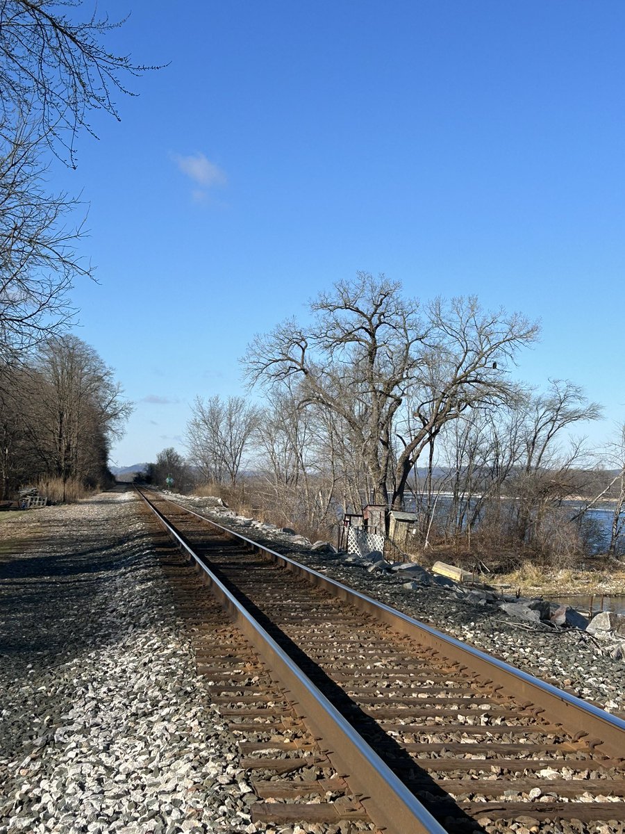 andyflyfisher's tweet photo. A very good morning to you all
#Readslanding #Wabasha #Minnesota https://t.co/Yx7NasQW7G