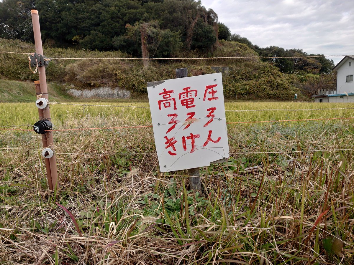 クリスマスに全く関係ない画像載せてTLを荒らす