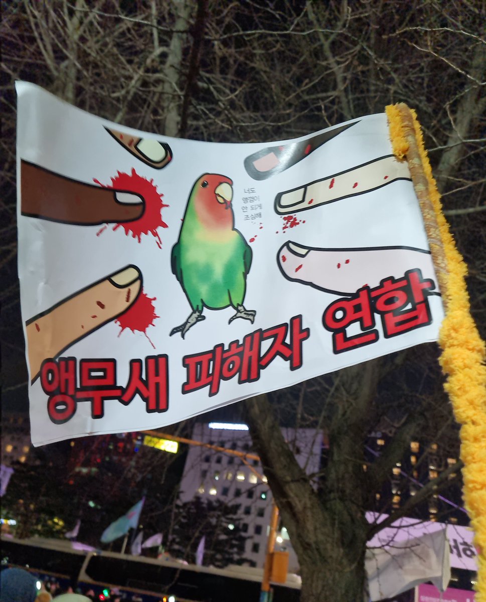 시위도 끝났으니 올리는 저의 멋진 수제 시위 깃발 보시겠읍니까
당일 제작 되는 곳을 못 구해서 집 근처 무인프린트샵 가서 a3 인쇄 두 장 해서 붙이고 저희 집 앵무새 횃대ㅎ 하나 뽑아서ㅎ 봉으로 썼어요ㅎ 미안해라ㅎ