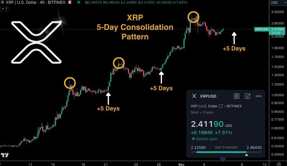Levi | Crypto Crusaders tweet media