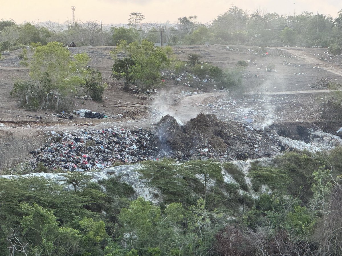Bali in 2024 is Blade Runner 2049.

My wife and I are considering moving out because of the air pollution.