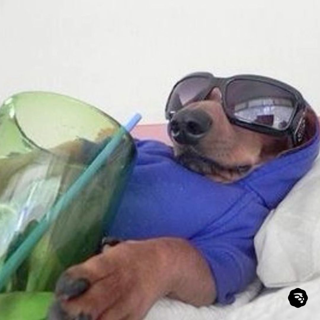 MoneyLion's tweet image. Weekend plans: 

#MoneyLion #MoneyHacks #Weekending