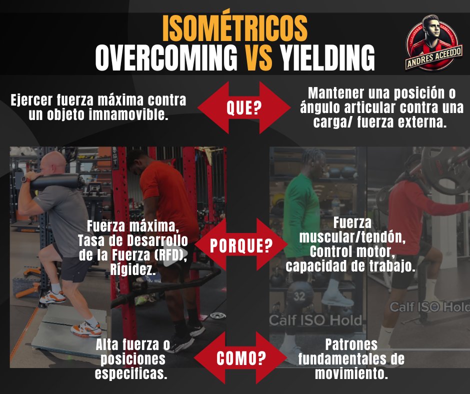 andresace260695's tweet photo. Los ejercicios isométricos son una herramienta clave tanto para mejorar el rendimiento deportivo como para la readaptación de lesiones. Pero, ¿sabías que hay dos tipos principales de contracciones isométricas?
#Isometric #Strength #Maxstrength #Overcoming #Yielding #Training https://t.co/fmMY18necm